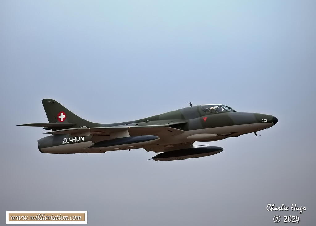 AAD 2024 3B6A8195