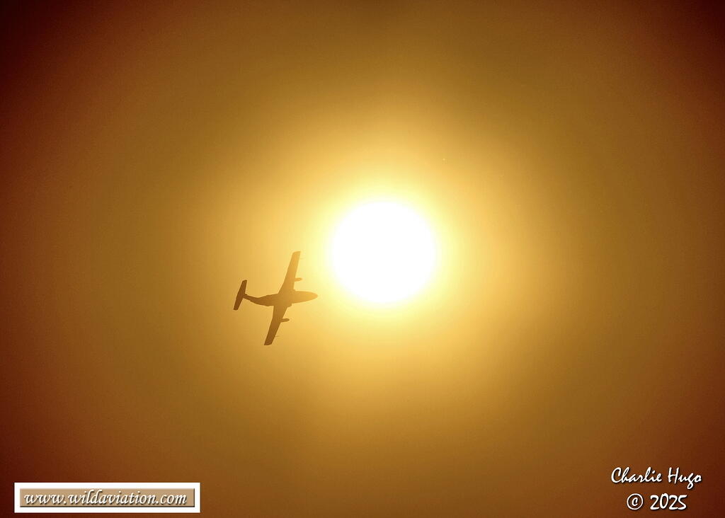 Aeroclub 2025 3B6A5886