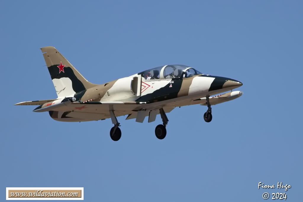 ICAD 2024 Fiona 081A6761