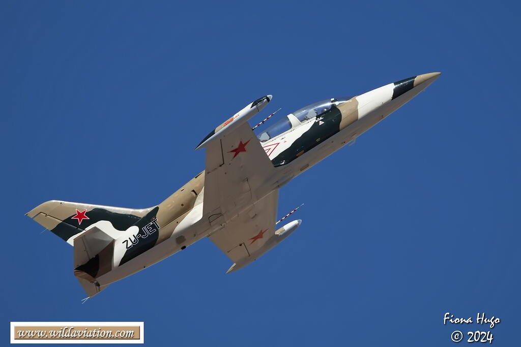 ICAD 2024 Fiona 081A6778