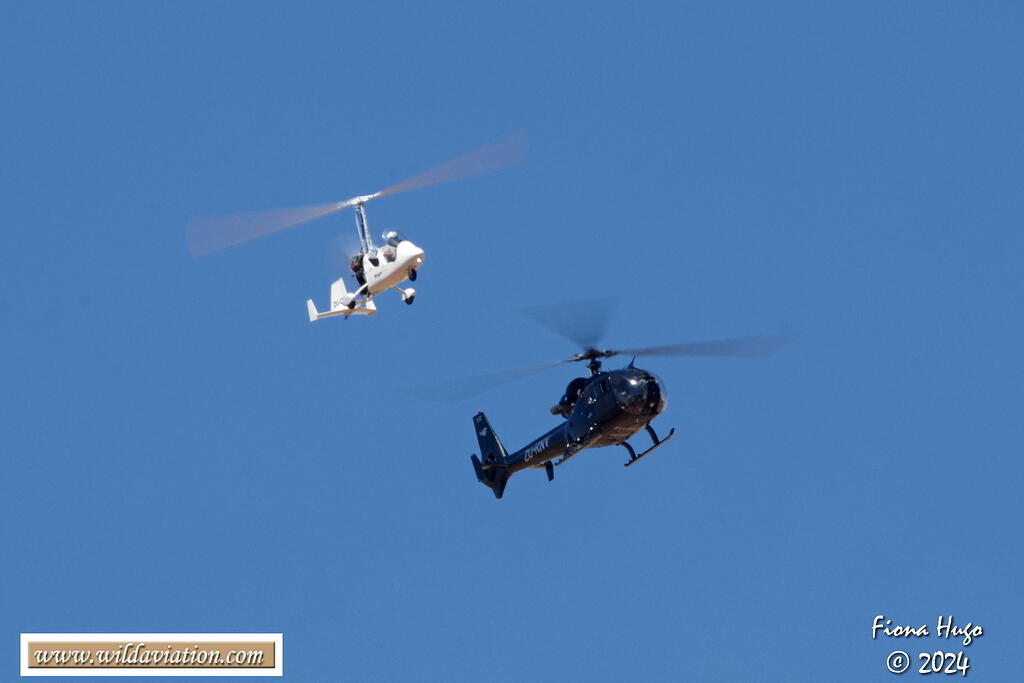 ICAD 2024 Fiona 081A6989