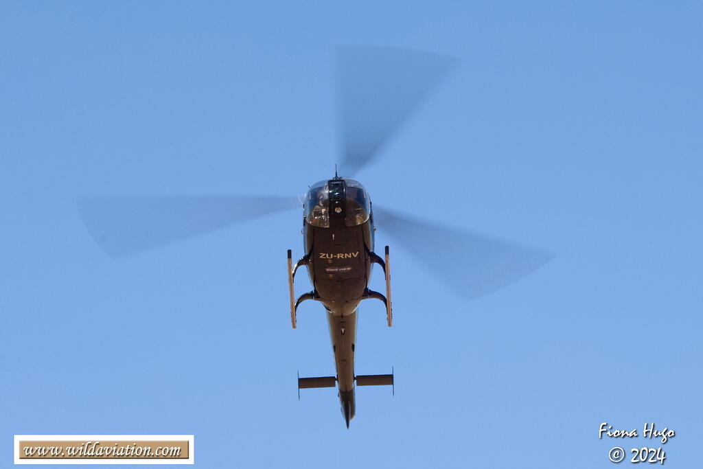 ICAD 2024 Fiona 081A7149