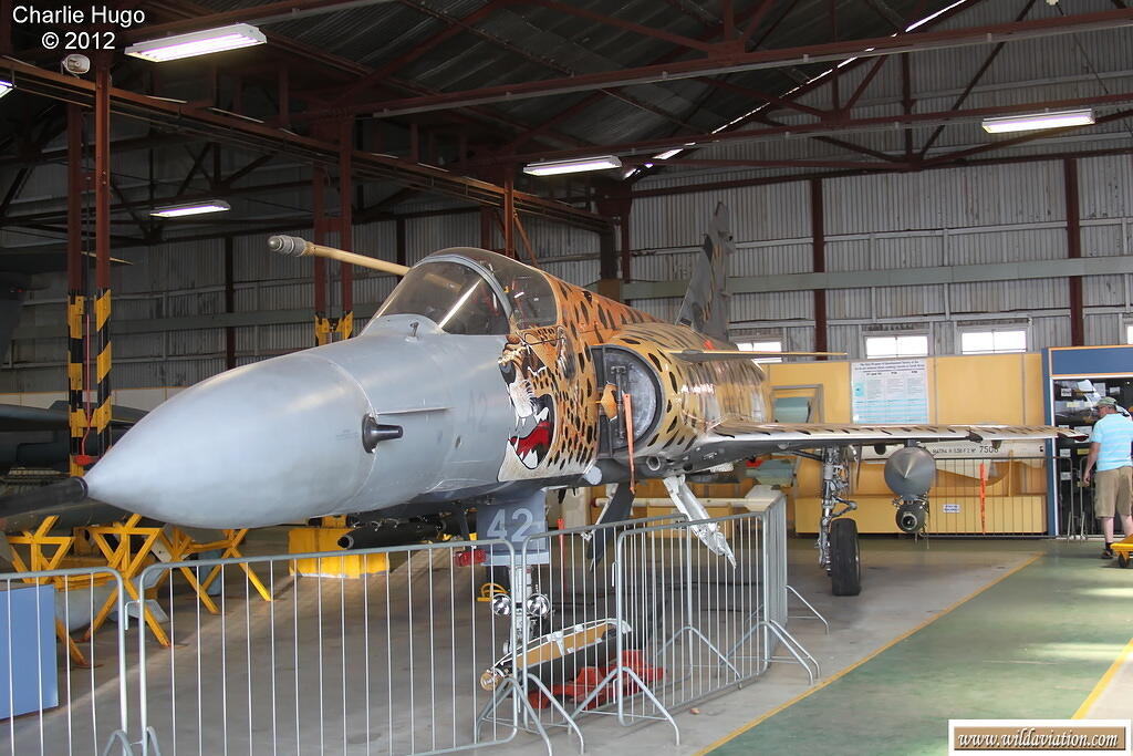 ZWT Cheetah C CP5O0056