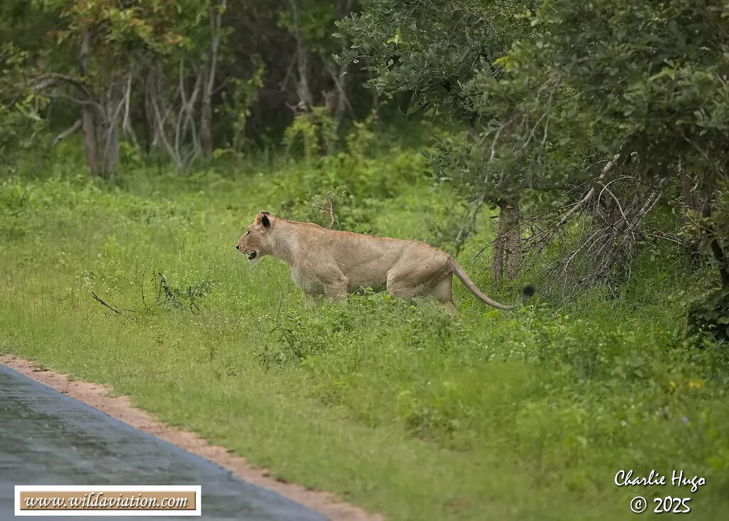 KNP Dec 2025 029A2757