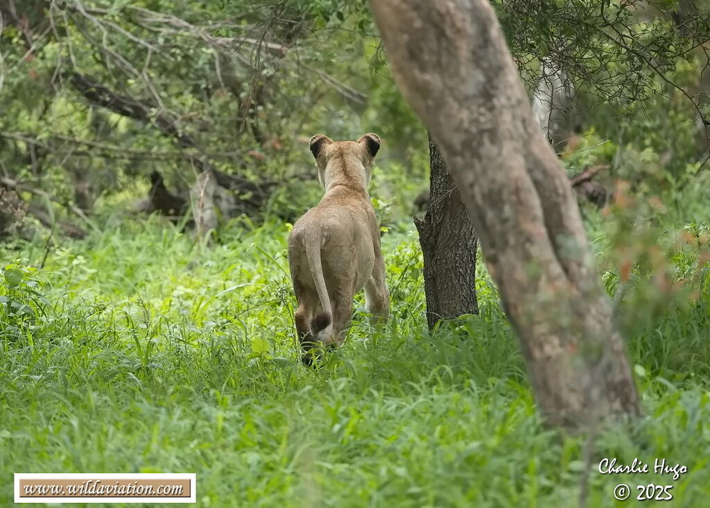 KNP Dec 2025 029A2770