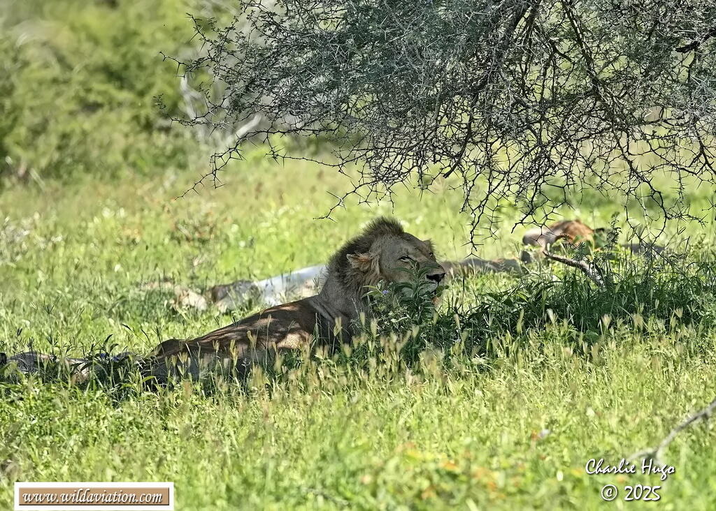 KNP Dec 2025 3B6A2718