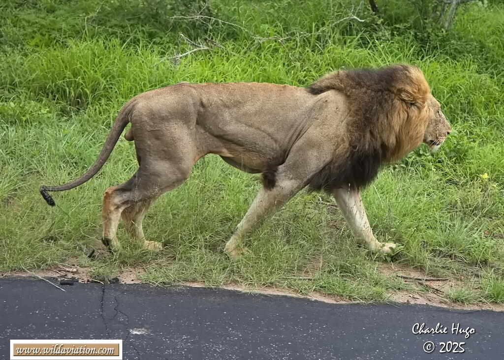 KNP Dec 2025 3B6A3027