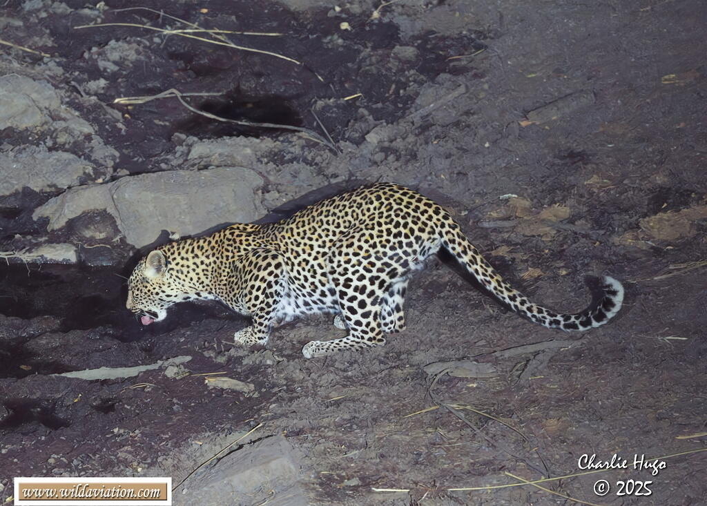 KNP 09-2025 029A6867