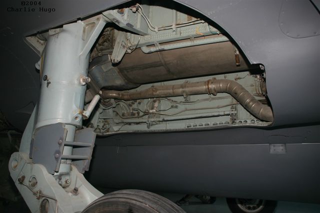 Buccaneer IMG 9251