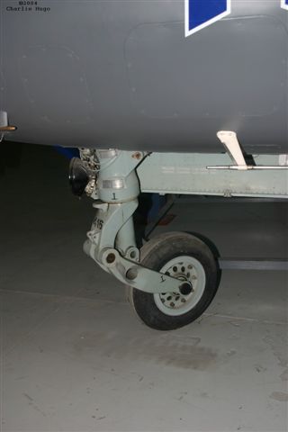 Buccaneer IMG 9253