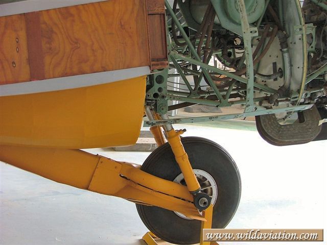 Swartkop Anson 2004 0207Image0022