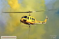 Lowveld Airshow 2024 Fiona 081A1245