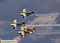 Wonderboom 2024 3B6A7847