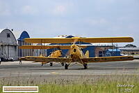 Moth Centenary Rand 2025 3B6A5109