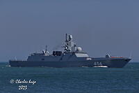 AFD 2023 AK7Z7940
