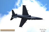 Prestige Day 2024 3B6A6990