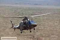 Lohatla 2022 AK7Z1415