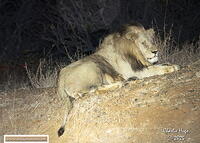 KNP 09-2025 029A8888