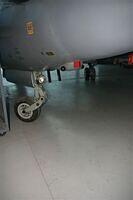 Buccaneer IMG 9255 JPG