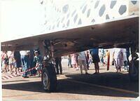 Cheetah C Spotty