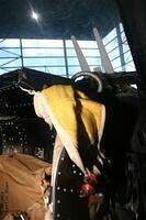 Mirage F1CZ IMG 9267